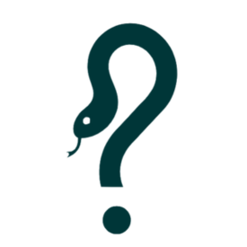 Image Quizz